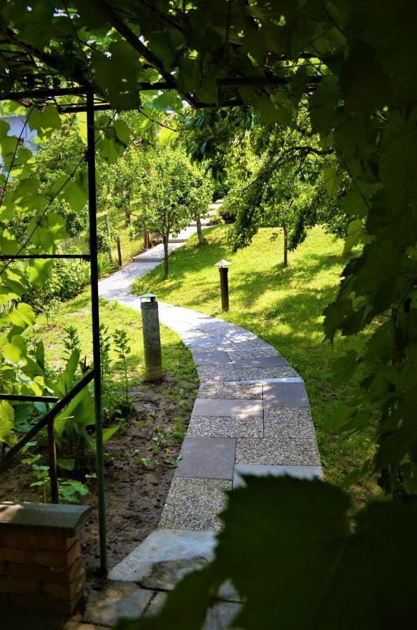Vinarstvi Koliba Lägenhet Cejkovice  Exteriör bild